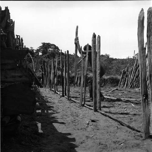 driving posts for walkway of wamai