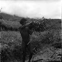 man carrying vines