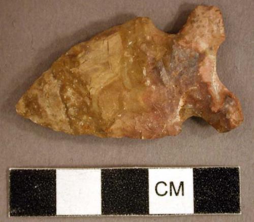 Chipped stone, projectile point, side-notched, bifurcated base