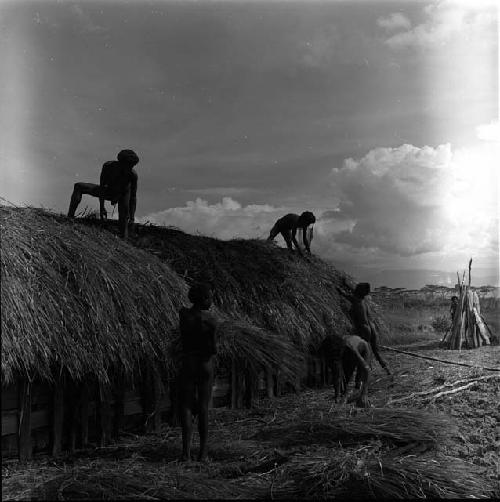 Men thatching roof