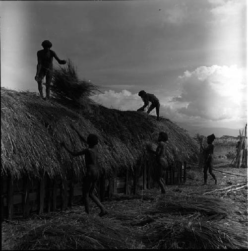 Men thatching roof