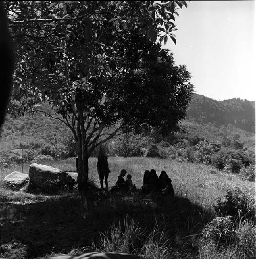 women sitting under munika tree