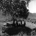 women's group under munika tree