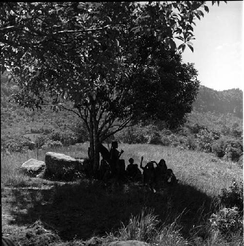 women sitting under munika tree