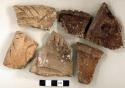 Ceramic, earthenware rim sherds, some incised, some with incised rims, one punctate, shell-tempered