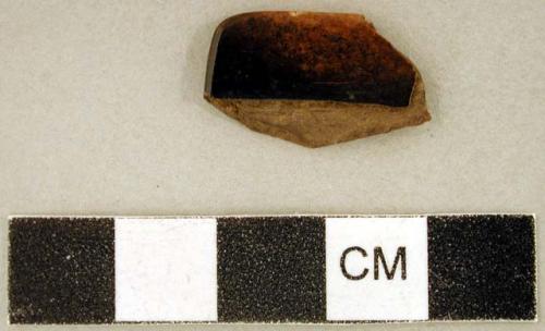 Carved and polished animal bone fragment