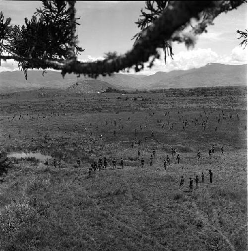 Warriors gathered on the Tokolik