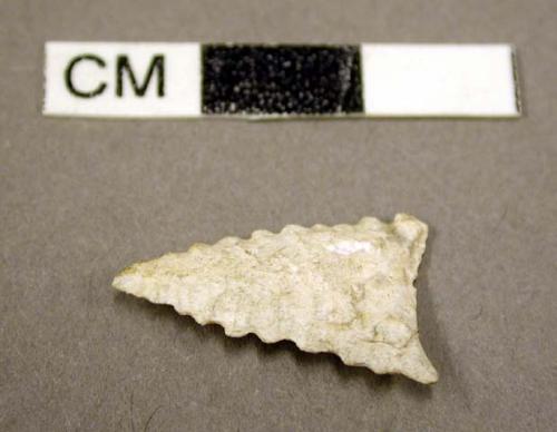 Projectile point