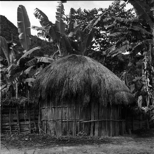 Side view of family round house of Isibaka and Waliake in W1