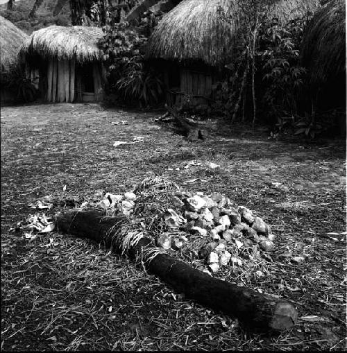 Yard at Wuperainma I; steam pit stones