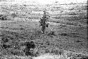 Line of people coming back towards Abulupak from the Liberek; people crossing past Matpiliama