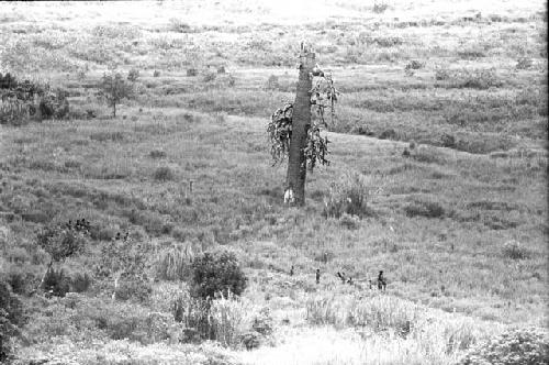 Line of people coming back towards Abulupak from the Liberek; people crossing past Matpiliama