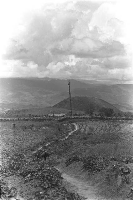 On the way to the war: Wali's kaio (watch tower) on the Warabara