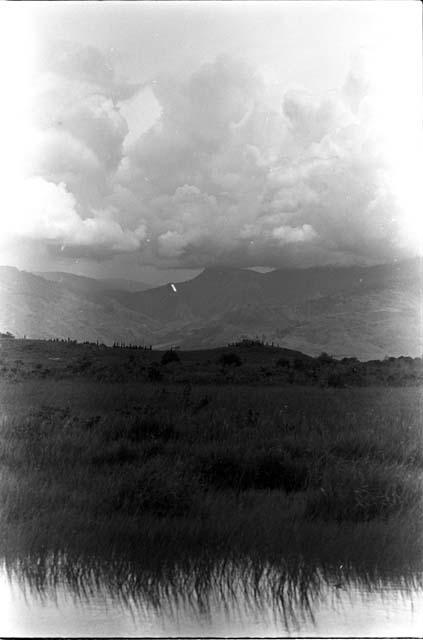 View across the pond at the Warabara