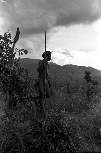 A man up in a tree on the Tokolik