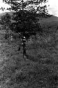 Warrior with spear walking near the sien tree on the Toklik