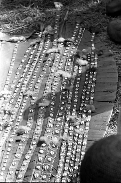 Cowrie bands of nyeraken aré being laid out on banana leaves