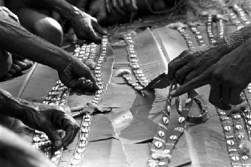 Cowrie bands being distributed