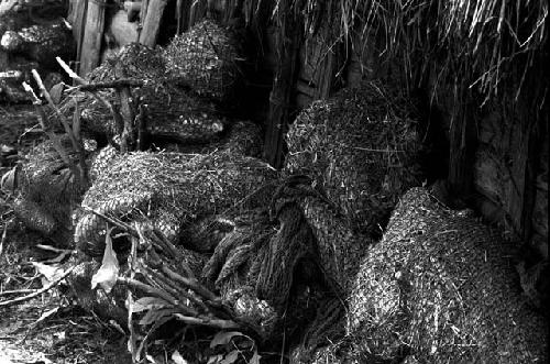 Bundles of hipiri (sweet potatoes) stacked against the wall of the lise