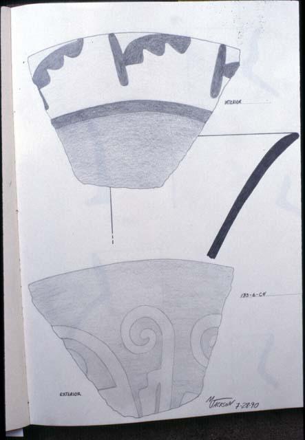 Drawings of rim sherds from Site 133 (133-6-C4)