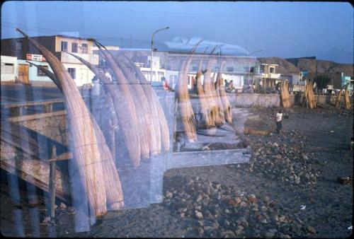 Buildings and totora bundles