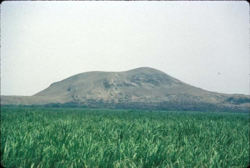 Huaca Blanca