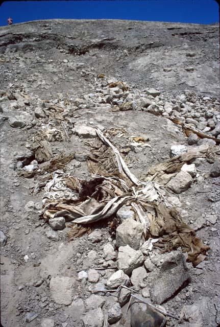 Looting at Huaca Blanca