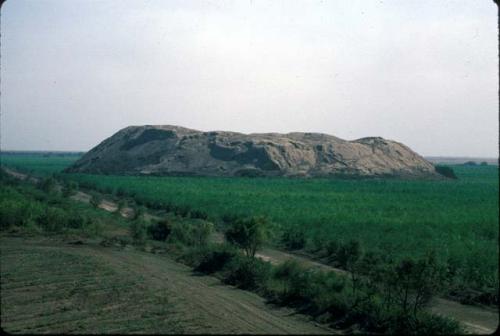 Ongollape (Site 19) From Salitral (Site 20)