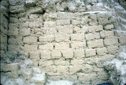 Cane marked adobes on southwest face of Huaca Sintuco (Site 29)