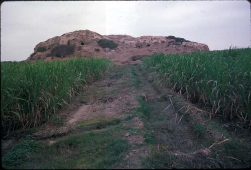 Northeast face of Huaca Sintuco (Site 29)