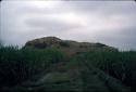 NE face of Huaca Sintuco (Site 29)