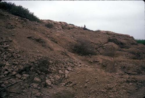 Looted NW side of Huaca Sintuco (Site 29)
