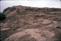 Looted top of Huaca Sintuco (Site 29)