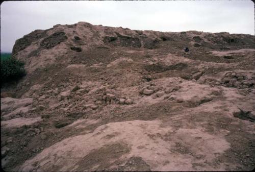 Looted top of Huaca Sintuco (Site 29)