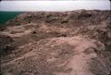 Looted top of Huaca Sintuco (Site 29)