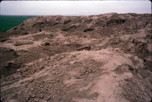 Looted top of Huaca Sintuco (Site 29)