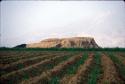 Huaca Sintuco (Site 29)