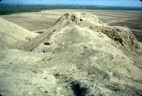 Central depression and SW corner of top of Huaca Rosario (Site 44)