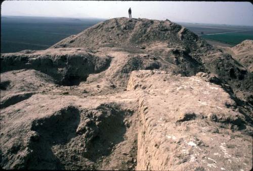 West side and northwest corner of top of Huaca Rosario (Site 44)