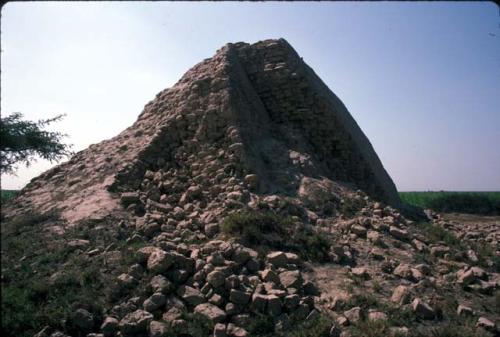 West end of northeast wall (Section 1) of Vallejos (Site 61) showing layers