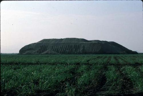 Sonolipe (Site 60) from a point between Sites 60 and 61