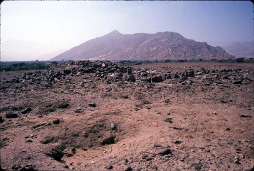 Platform and row of upright stone slabs at Site 76