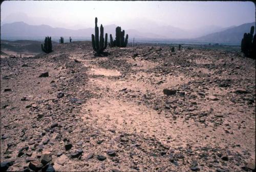 Probable borrow pits on ridge near wall