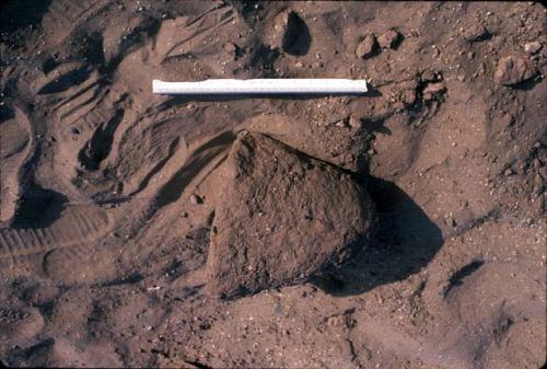 Conical adobe brick at Site 79