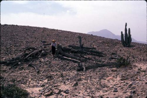 Margaret Jackson with dead cactus