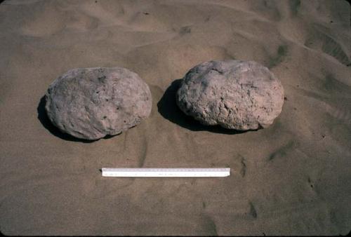 Two ovoid plano-convex adobe bricks from Site 93