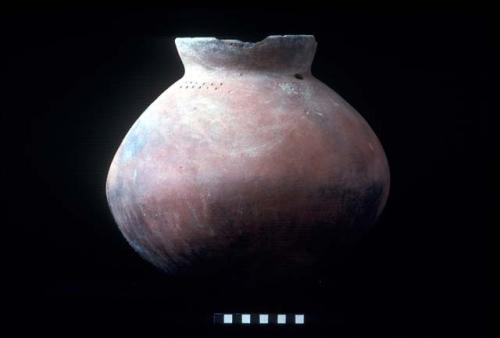 Medium everted neck punctate jar from Site 93