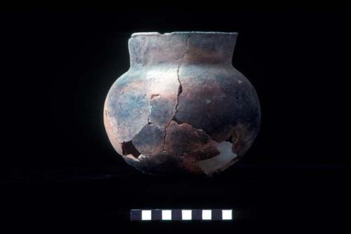 Medium everted neck jar with lipped rim from Site 93