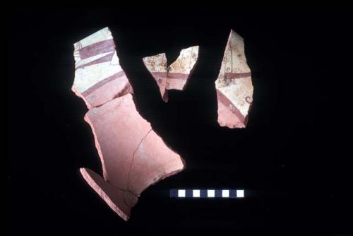 Red and white florero sherds from Site 97