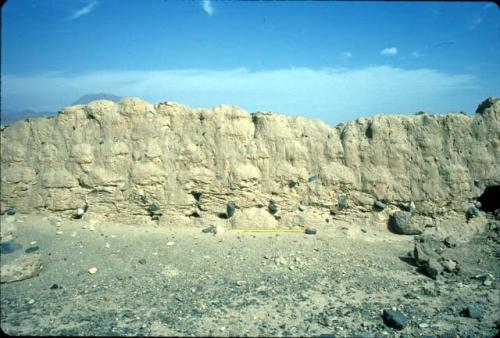 Detail of adobe wall of large compound at Chicamita (Site 118)